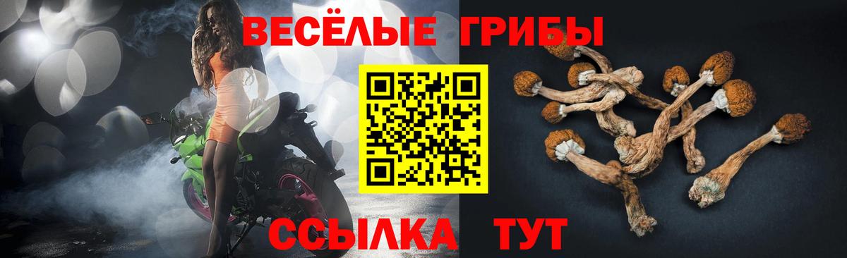 Галлюциногенные грибы MAGIC MUSHROOMS Асино