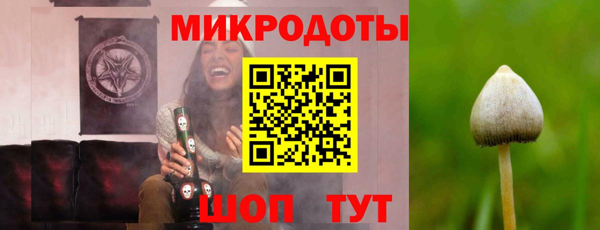 Псилоцибиновые грибы прущие грибы  Вход с VPN  Асино 